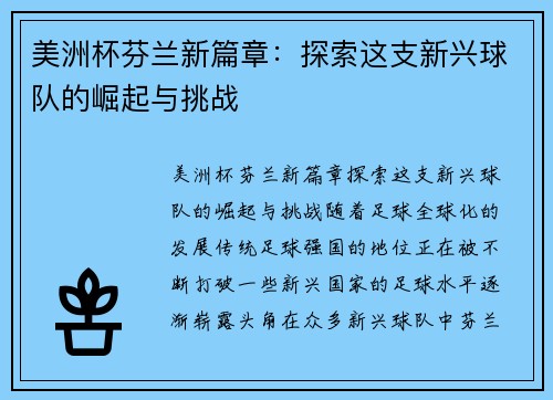 美洲杯芬兰新篇章：探索这支新兴球队的崛起与挑战